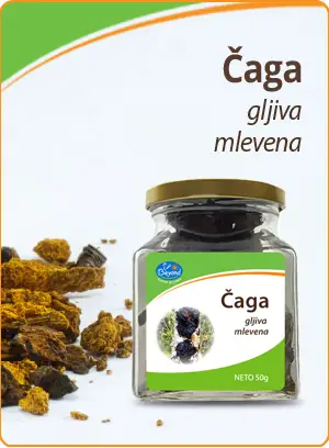 Tempeh prženi Beyond