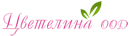tzvetelina-logo-255x70.png